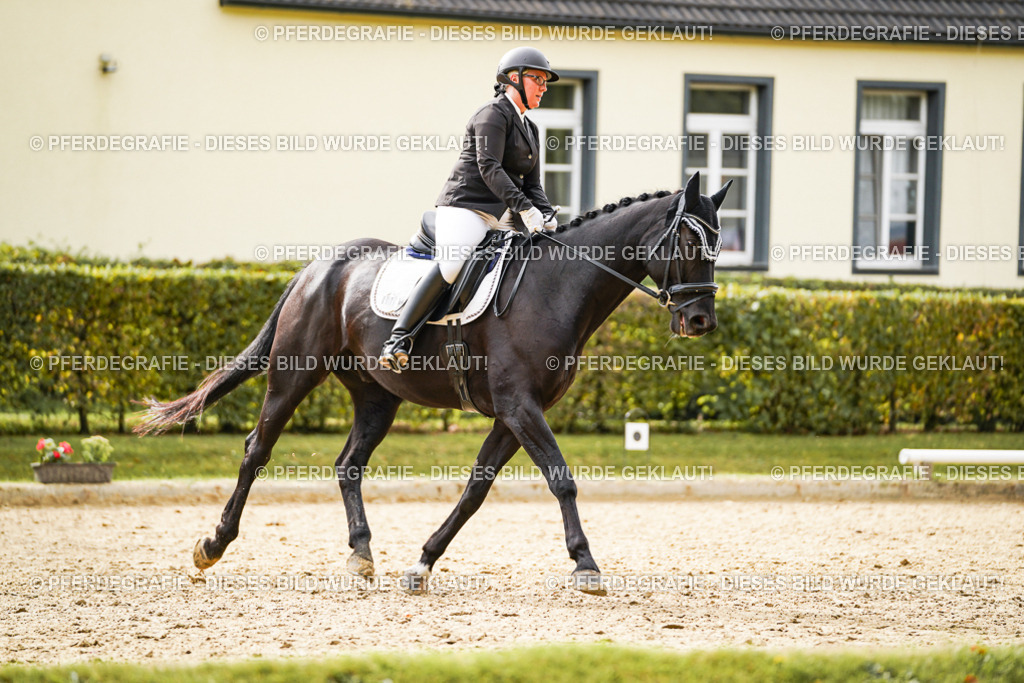 DSC01250 | Pferdegrafie