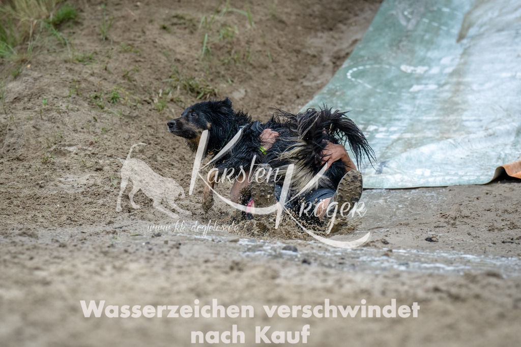1226_ZZ92436-Bearbeitet | kk-dogfotos