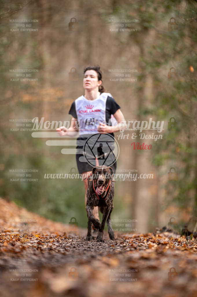 SPA_2023_DIM_CCL-125 | PayLife