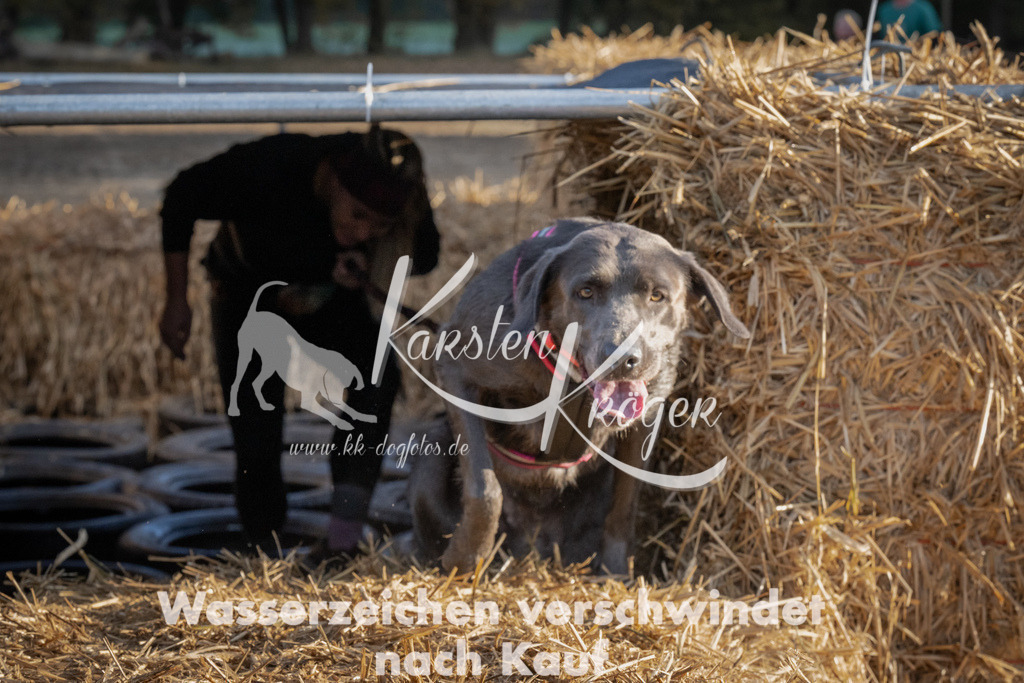 0944_ZZ94395 | kk-dogfotos