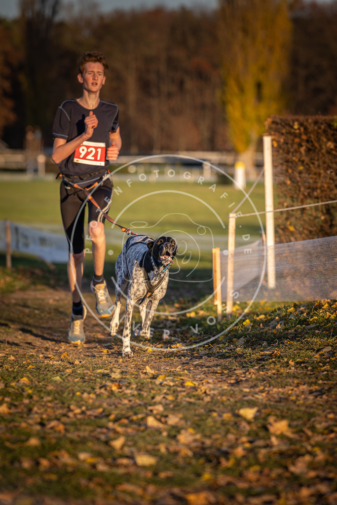 CaniXpix_DV3A4945 | Hundefotografie, Tierfotograf, Pfotenfotografie, Fotoshooting Hund, Hunde Portrait, Hundesport, Hundeportraits, Heideshooting, Hunde, Sportfotograf, Hundefotograf, Turnierhundsport, THS,  - Realisiert mit Pictrs.com