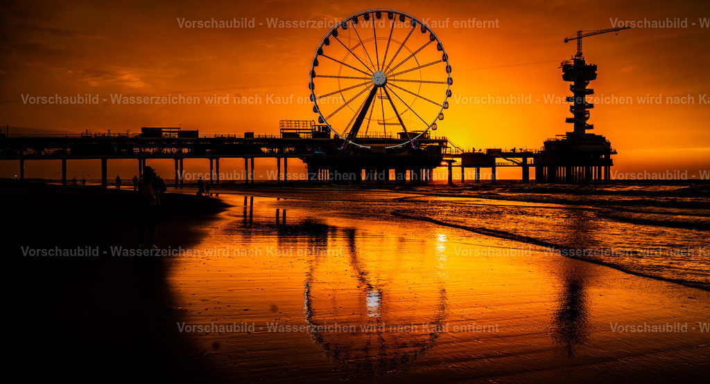 DSC00555 | marcuslinek