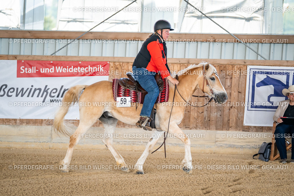 DSC01503 | Pferdegrafie