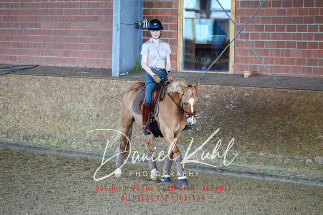 DKP42909 | Turniersportfotografie; Pferdefotografie; Dressurfotografie