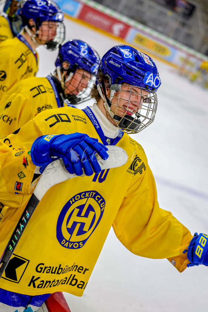 EHCB vs HCD-1482 | Sportbilder, Sportfotograf, Hochzeits- und Eventfotografin, Flugshows, Portraits und Tiershooting, Aviation, Downhill, Nationalleague, Swissleague, International