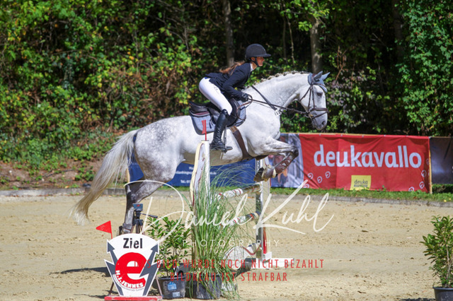 DKP43177 | Deine Turnierfotos vom Reitturnier online kaufen: Dressur, Springen & Siegerehrung. Professionelle Pferdefotografie aus dem Rheinland – als Download & Print.Alternative: Turnierfotograf für den Pferdesport: Finde deine Fotos von Dressur- und Springturnier