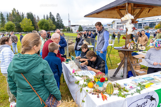 SchaZie Tag | Bildershop von pixelworld.at - Realisiert mit Pictrs.com