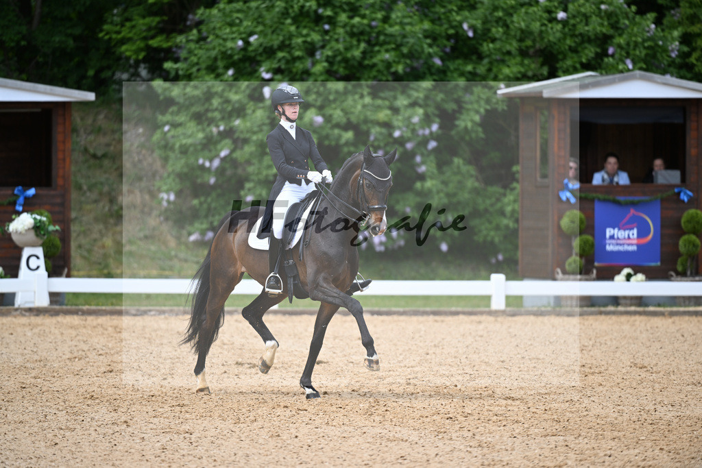 Soeder_Shosholoza_26262505 | hf-fotografie - Realisiert mit Pictrs.com