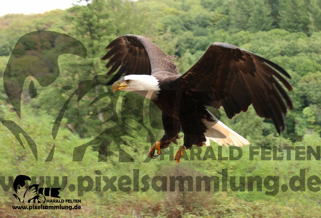 IMG_9707 | pixelsammlung - Realisiert mit Pictrs.com