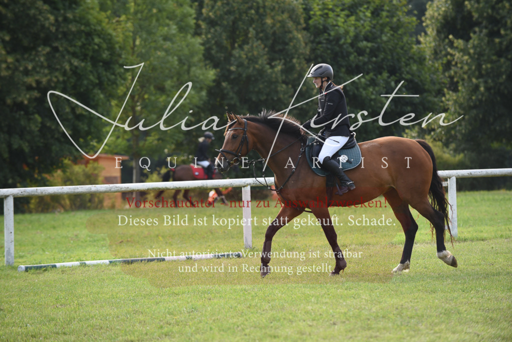 DSC_8838 | Pferde- und Turnierfotografie in Westsachsen. Pferdeportraits, Auftragszeichnungen und intuitive Kunst.