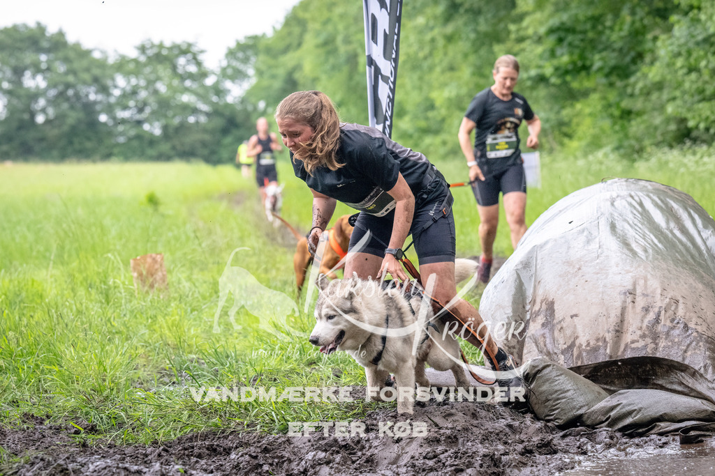 1611_ZZ92821-Bearbeitet | kk-dogfotos