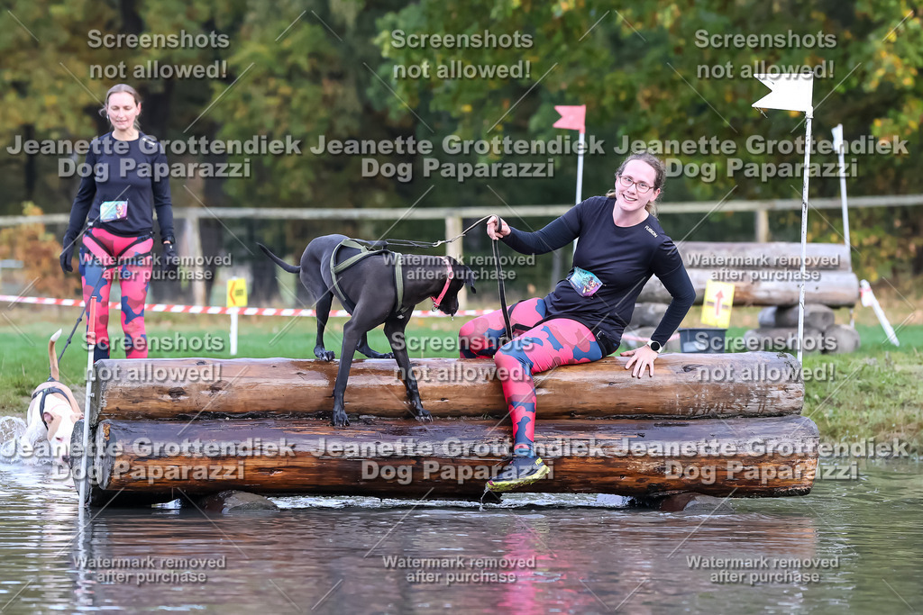 Dog Paparazzi - Strongdog 10-25-6713 | Dog Paparazzi Jeanette Grottendiek Fotografie & Videografie - Realisiert mit Pictrs.com