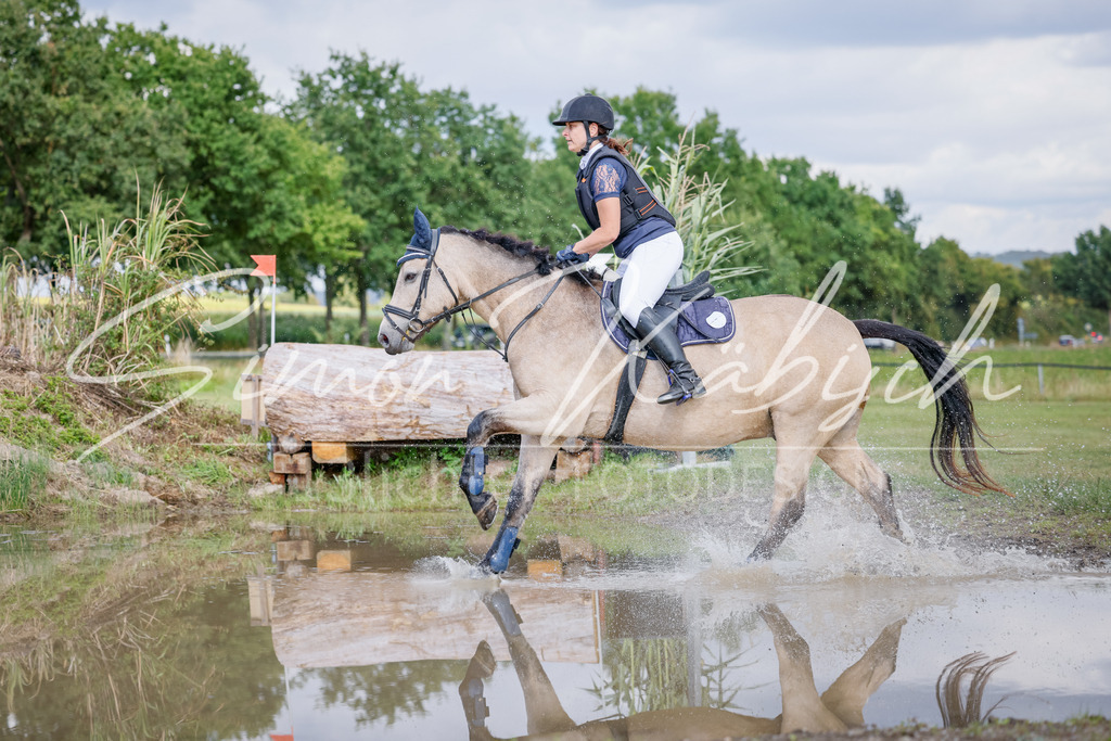 20250905-_3LI0928 | Tierfotografie Pferde, Hunde, Katzen, Haustiere.
Turnierfotografie Reitturniere, Reiten, Springreiten, Dressur in Hanau, dem Main-Kinzig-Kreis und dem Rhein-Main- Gebiet um Frankfurt