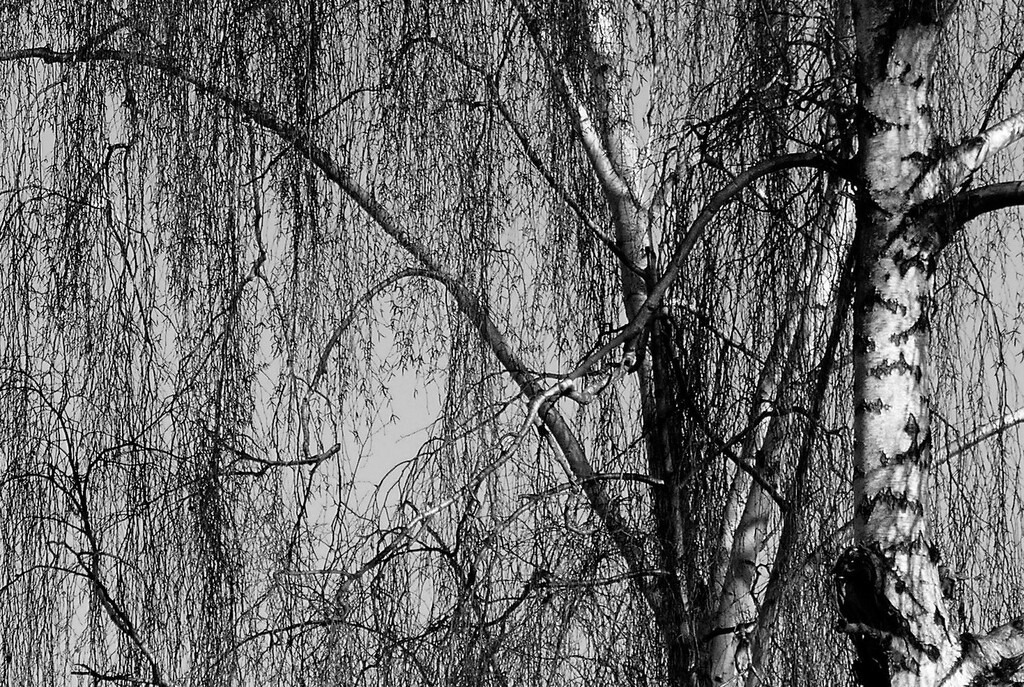 P1640798_f | Annaeherungen - Realisiert mit Pictrs.com