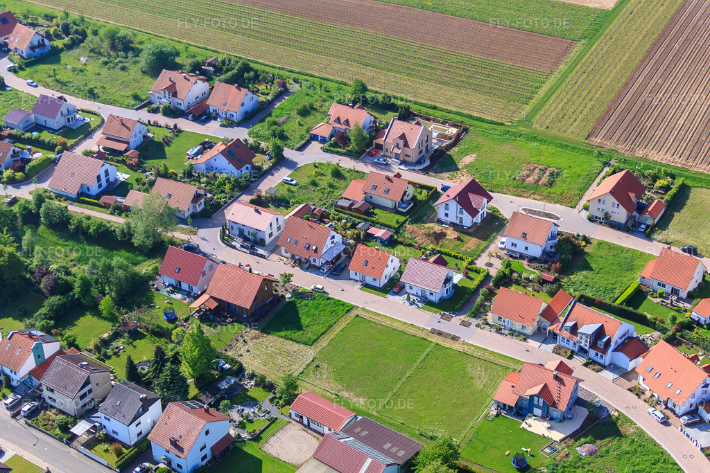 Luftbild: Im Erbsenfeld im Ortsteil Mörzheim in Landau im Bundesland Rheinland-Pfalz in Deutschland. Foto: IMG_27151.jpg vom 23.05.2010 durch Werner Riehm/FLY-FOTO.de