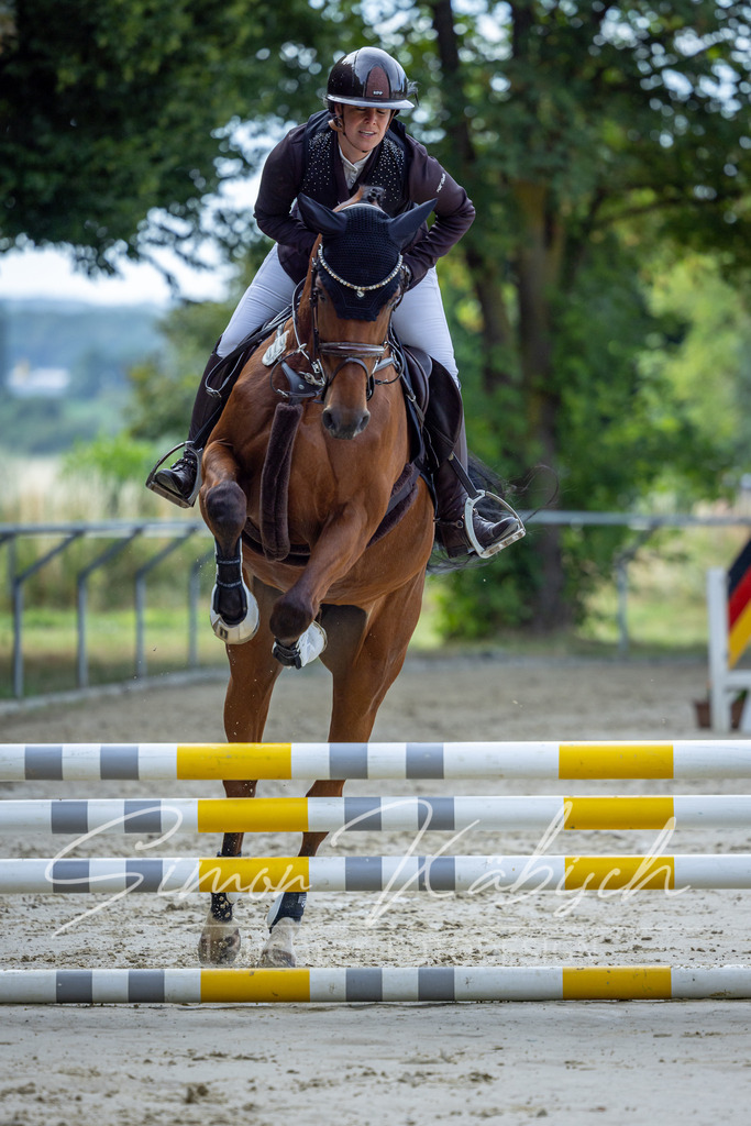 20260704-_3LI6651 | Tierfotografie Pferde, Hunde, Katzen, Haustiere.
Turnierfotografie Reitturniere, Reiten, Springreiten, Dressur in Hanau, dem Main-Kinzig-Kreis und dem Rhein-Main- Gebiet um Frankfurt