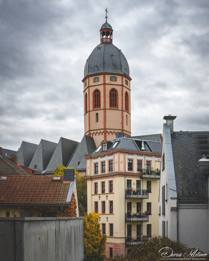 _DSC4413 | Fotografien, Fotos und Bilder aus Mainz, Frankfurt, Wiesbaden und anderen Orten auf der Welt - Fotografiert von Darius Metzner