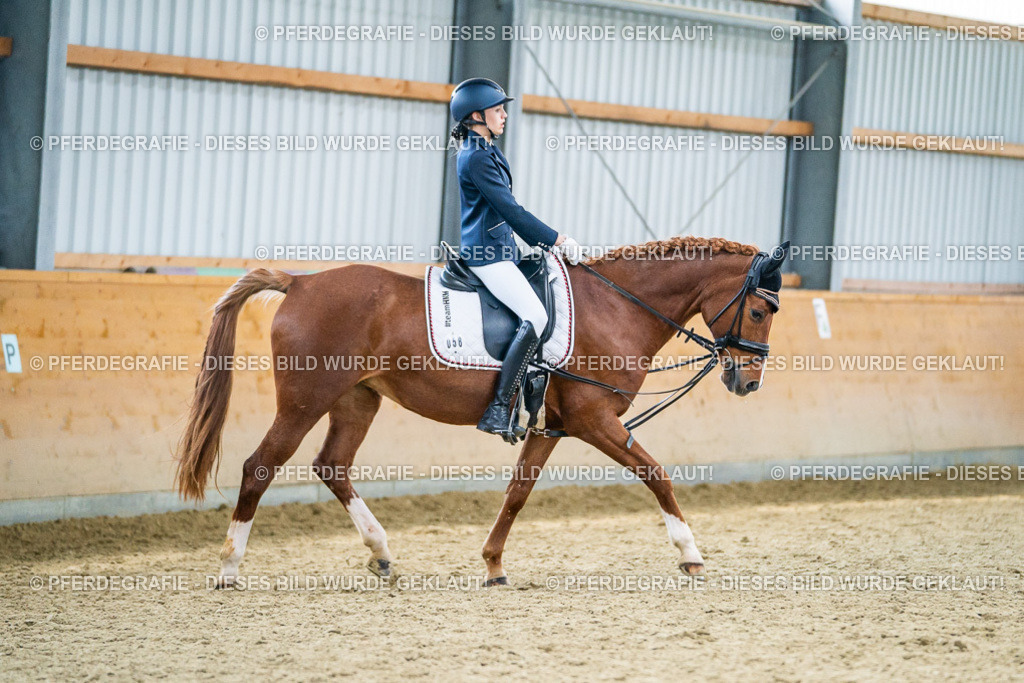 DSC04612 | Pferdegrafie