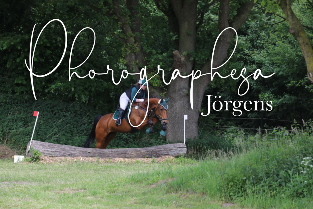 IMG_9324 | photographesa-joergens - Realisiert mit Pictrs.com