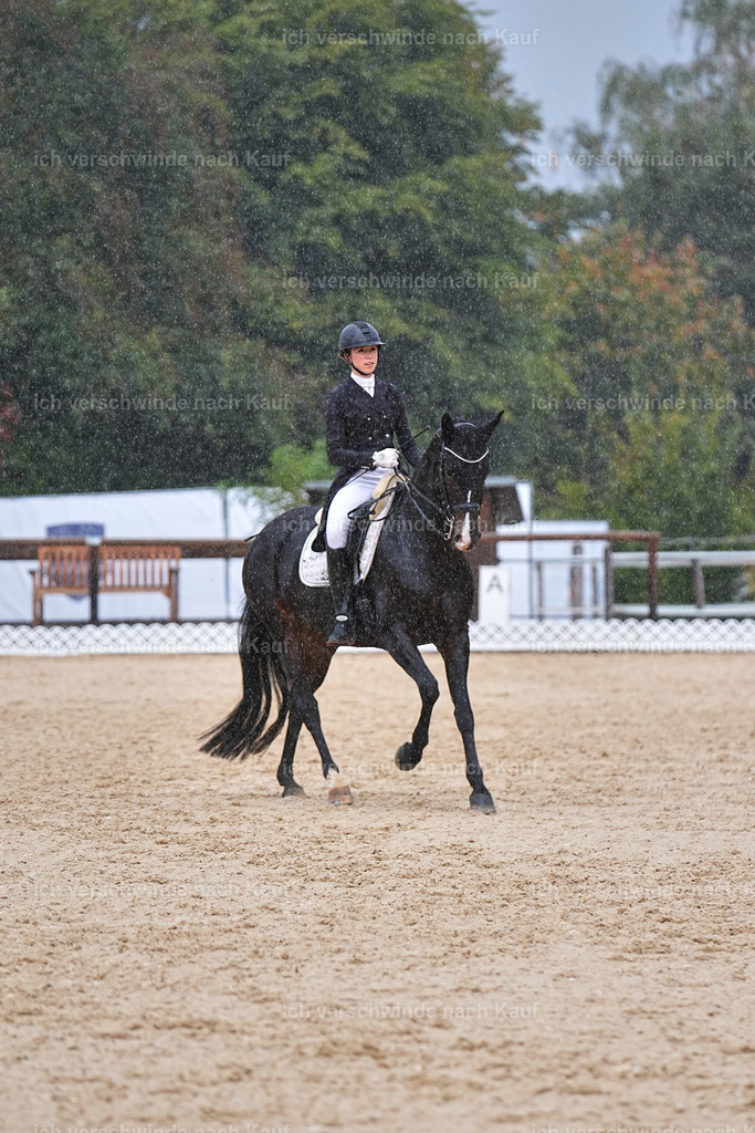 8_1-027-Klasse S_  -Marixx-4385 | working equitationturnier fotograf videograf stoibphotography marixx film working equitation deutschland reitsport turnierfotografie eventfotografie equestrian events