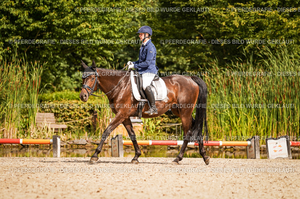 DSC01477 | Pferdegrafie