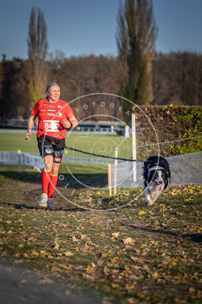 CaniXpix_DV3A3764 | Hundefotografie, Tierfotograf, Pfotenfotografie, Fotoshooting Hund, Hunde Portrait, Hundesport, Hundeportraits, Heideshooting, Hunde, Sportfotograf, Hundefotograf, Turnierhundsport, THS,  - Realisiert mit Pictrs.com