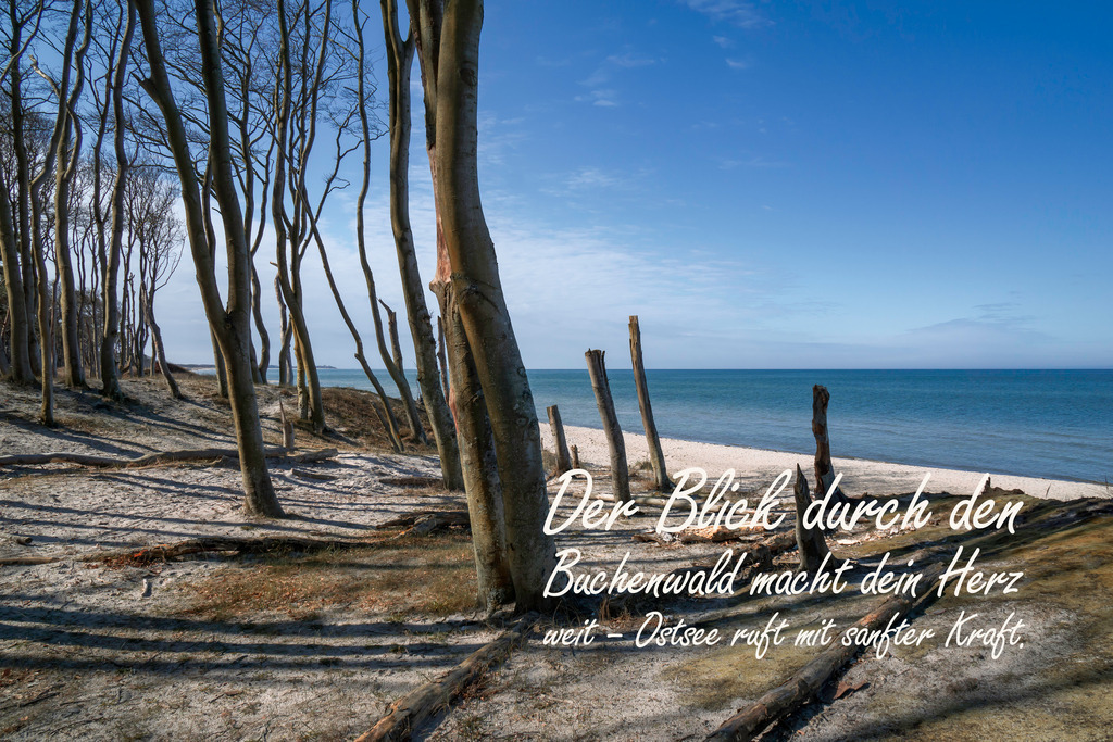 Meer Kalender 2026 - Ostseemotiv mit Text | Gestalten Sie Ihr Zuhause mit einzigartigen Bildern von Ostsee u. Nordsee – als Leinwandbild, Acryl, Alu-Dibond oder FineArt Hahnemühle, individuell anpassbar.