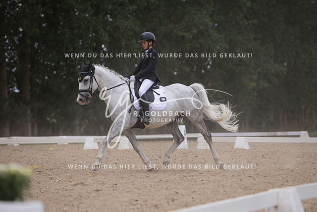 1J2A0829Charlotte Fehr_ Ikon 16_ Kn061_ Wöpkendorf_ Annalena Beier_ Quinn M_ Kn095 | Foto- und Videografie für alles rund ums Pferd. Hochwertige Bilder und Videos vom Spring- und Dressurreiten, Voltigieren & mehr. Jetzt aktuelle Veranstaltungen und Preise im Shop ansehen. - Realisiert mit Pictrs.com