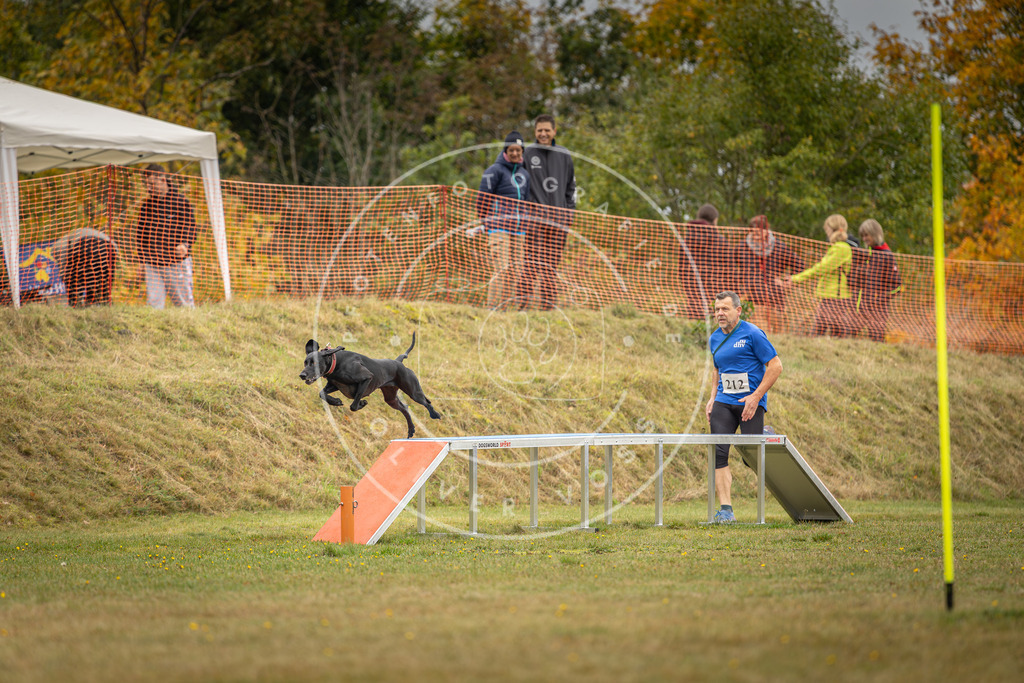 Pfotenfotografie_DV3A2818 | Hundefotografie, Tierfotograf, Pfotenfotografie, Fotoshooting Hund, Hunde Portrait, Hundesport, Hundeportraits, Heideshooting, Hunde, Sportfotograf, Hundefotograf, Turnierhundsport, THS,  - Realisiert mit Pictrs.com