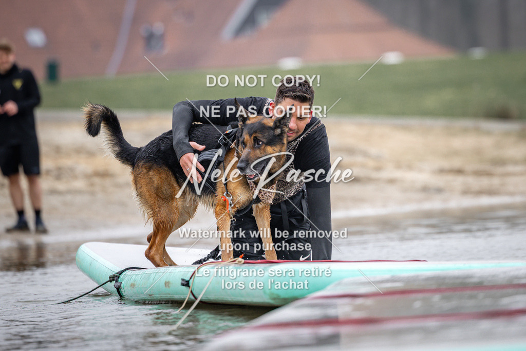 nelerasche_Hulsbeek_Sa1030-1100_504 | nelerasche