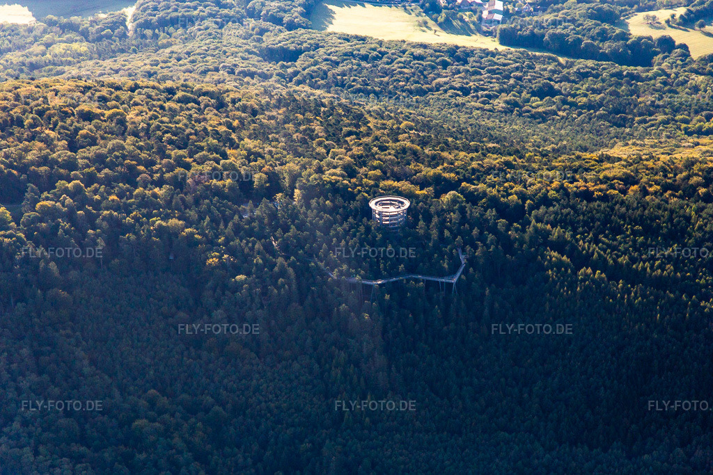 Luftbild: Baumwipfelpfad Elsass in Cleebourg im Bundesland Bas-Rhin in Frankreich. – Foto: IMG_138932.jpg vom 24.09.2023 durch Werner Riehm/FLY-FOTO.de – Auflösung des Originals: 5389 x 3593 px – den Baumwipfelpfaden der Erlebnis Akademie AG!