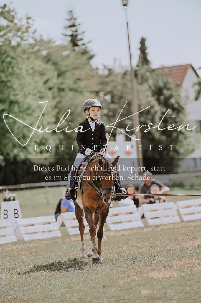 DSC_7623 | Pferde- und Turnierfotografie in Westsachsen. Pferdeportraits, Auftragszeichnungen und intuitive Kunst.
