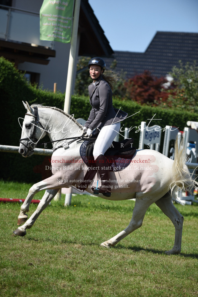 DSC_9145 | Pferde- und Turnierfotografie in Westsachsen. Pferdeportraits, Auftragszeichnungen und intuitive Kunst.