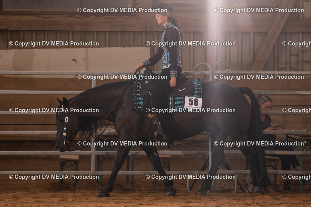 NID00225 | dv-media-shop - Realisiert mit Pictrs.com