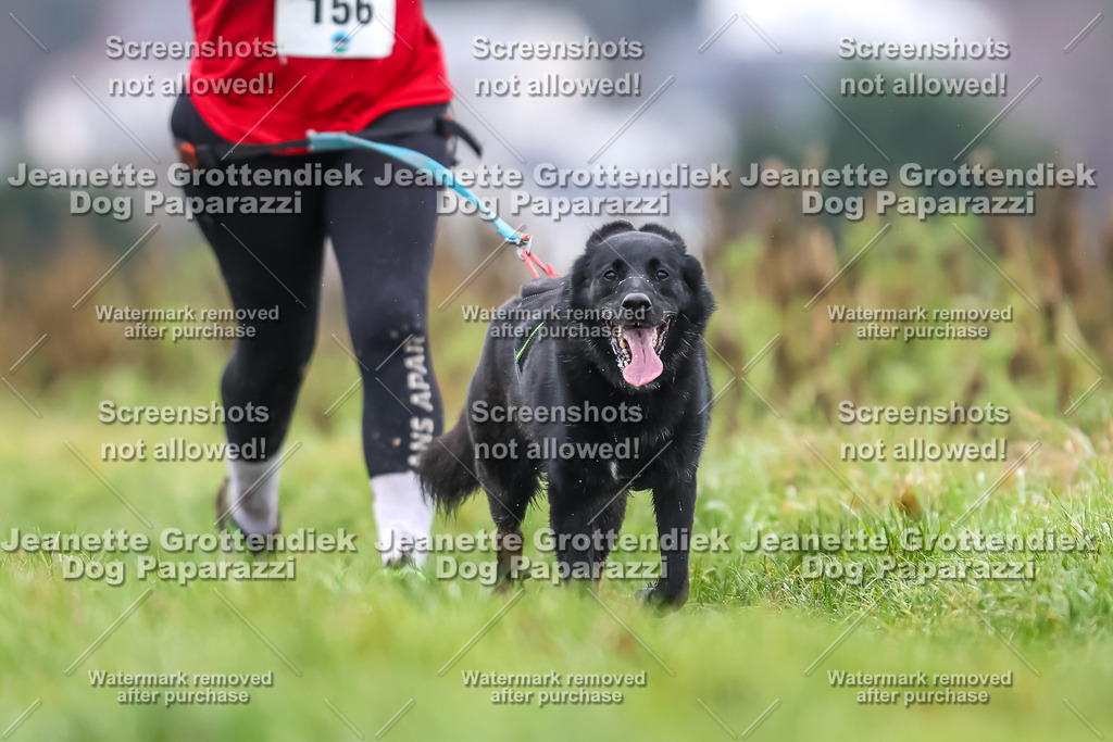 Dog Paparazzi - Herkules Race  2025-82 | Dog Paparazzi Jeanette Grottendiek Fotografie & Videografie