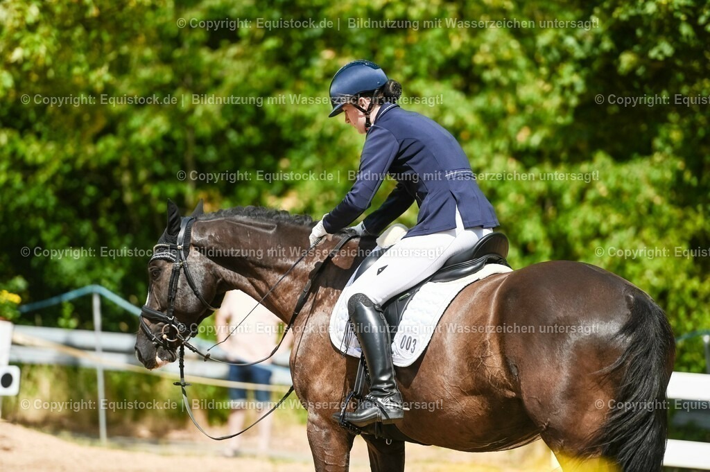 20230715_02_Dressurreiterprüfung Kl.L_0307 | equistock