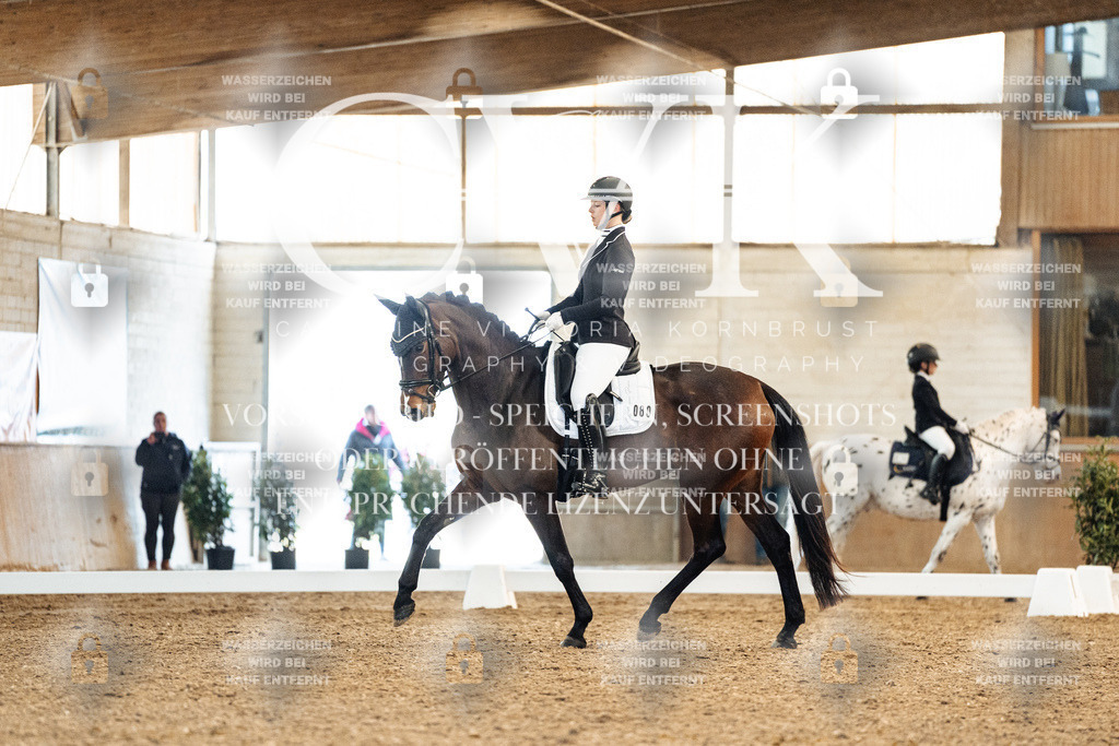 CK908801 | Turnierfotografie Pferdefotografie Trier Rheinland-Pfalz Pferdesport Reitsport Tierfotografie Sportfotografie Pferdevideo Pferdevideografie Equestrianvideography equestrianphotography  - Realisiert mit Pictrs.com