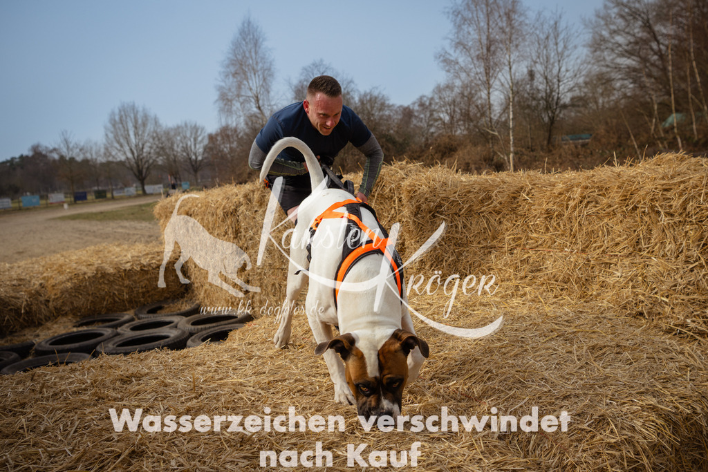 1112_ZZ92270 | kk-dogfotos