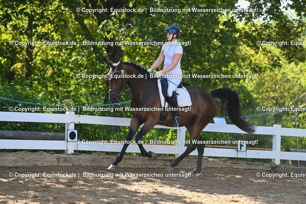 20230715_06_Dressurpferdeprfg. Kl.A_0283 | equistock