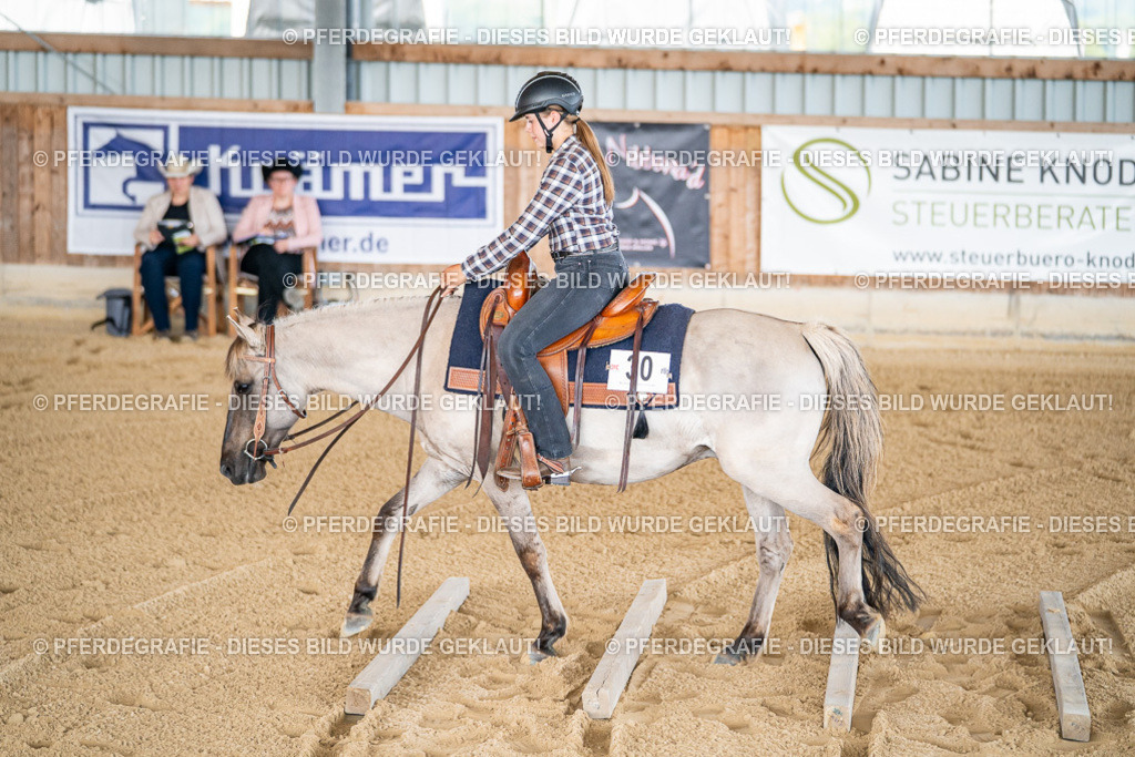 DSC01786 | Pferdegrafie