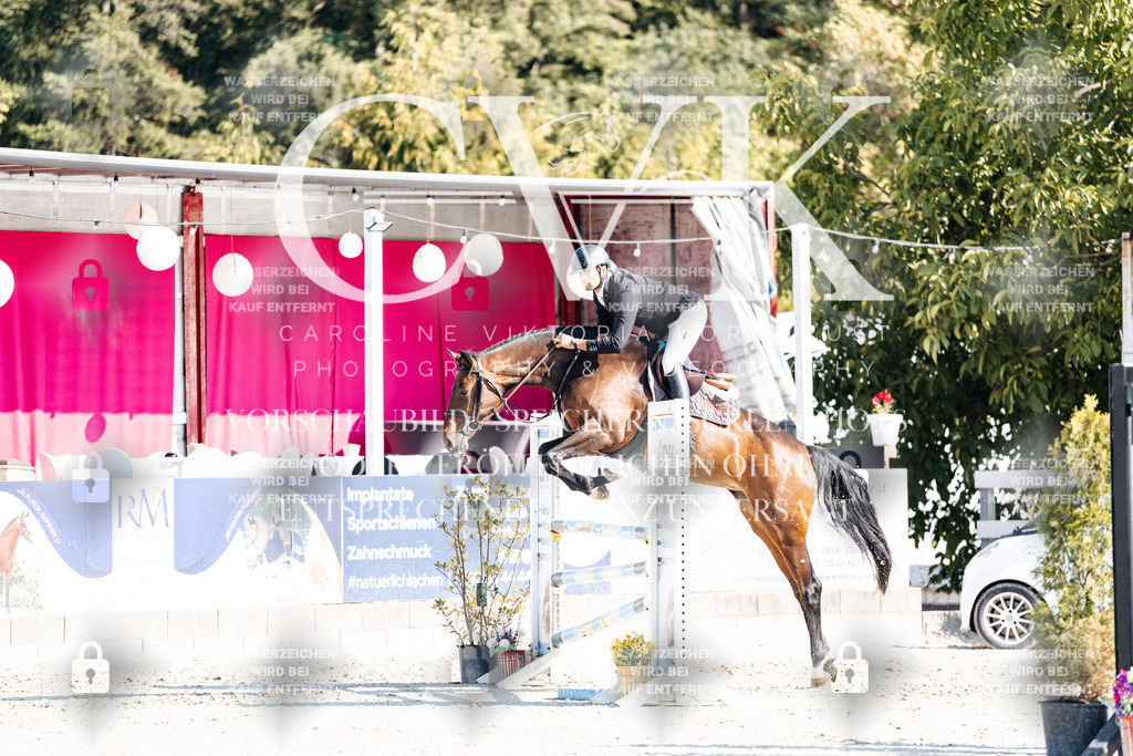 CK902047 | Turnierfotografie Pferdefotografie Trier Rheinland-Pfalz Pferdesport Reitsport Tierfotografie Sportfotografie Pferdevideo Pferdevideografie Equestrianvideography equestrianphotography  - Realisiert mit Pictrs.com