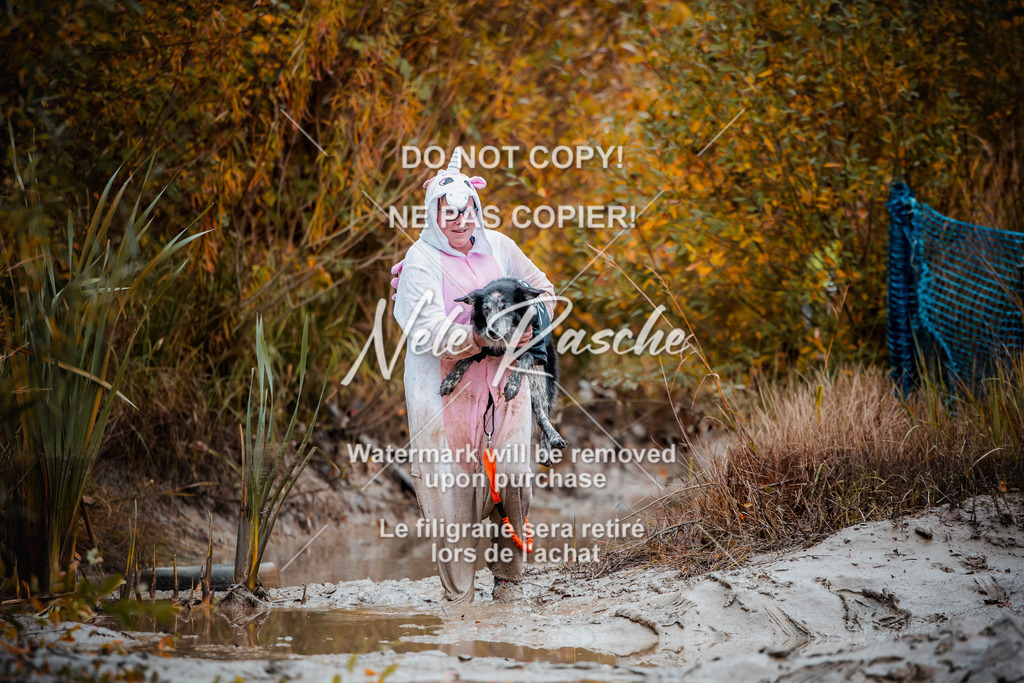 nelerasche_Creepy2025_Sa09-10_67 | nelerasche