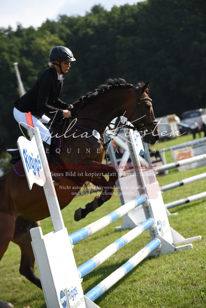 DSC_8689 | Pferde- und Turnierfotografie in Westsachsen. Pferdeportraits, Auftragszeichnungen und intuitive Kunst.
