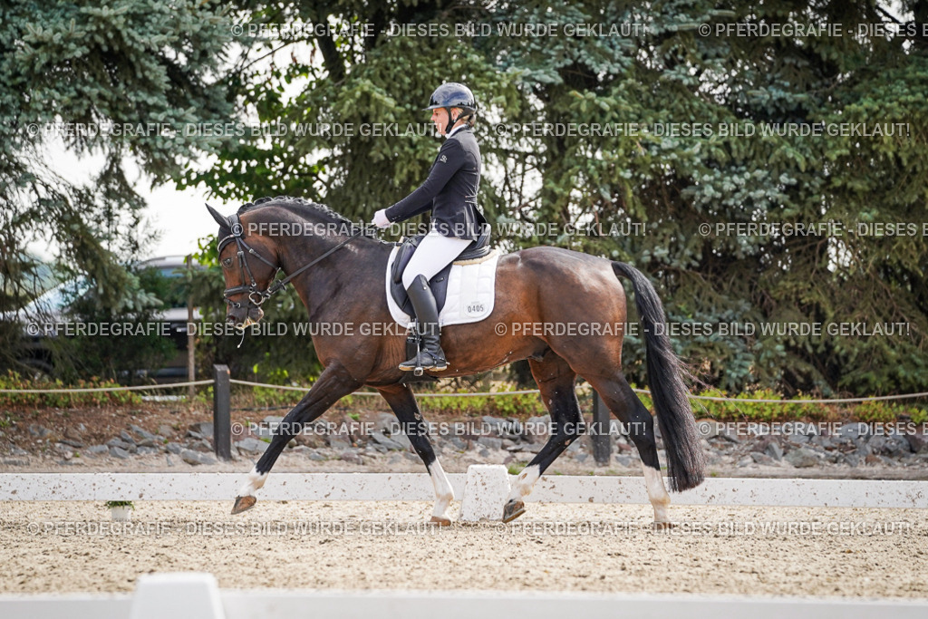 DSC07999 | Pferdegrafie