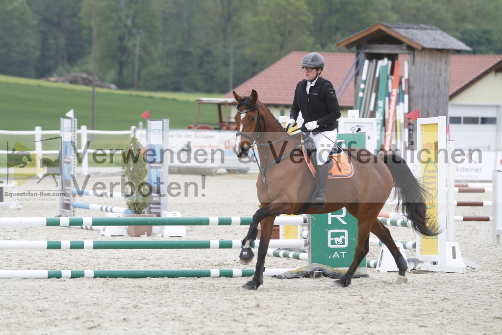 _MG_3643 | equestrian-live-com