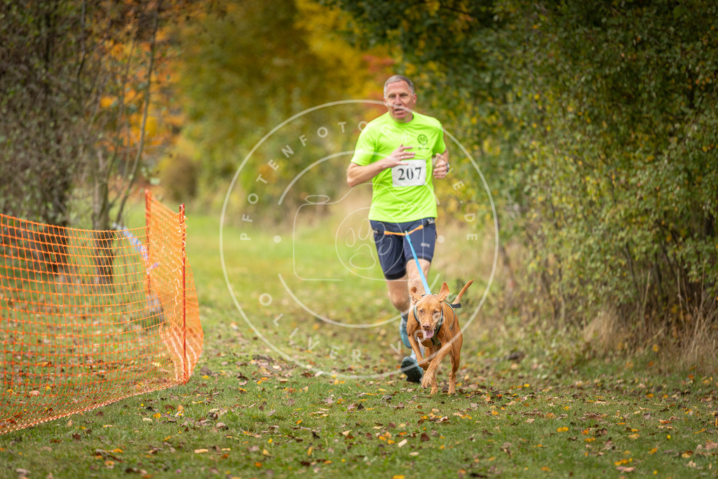 Pfotenfotografie_DV3A4025 | Hundefotografie, Tierfotograf, Pfotenfotografie, Fotoshooting Hund, Hunde Portrait, Hundesport, Hundeportraits, Heideshooting, Hunde, Sportfotograf, Hundefotograf, Turnierhundsport, THS,  - Realisiert mit Pictrs.com