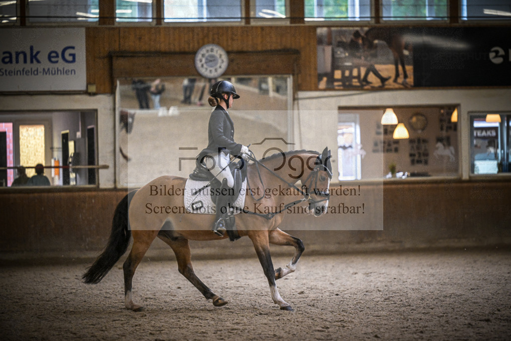 DOS_1333 | Entdecke hochwertige Reitturnierfotos von Foto Oger. Professionell, emotional und authentisch – jetzt Lieblingsmomente im Shop bestellen.Deutschlandweite Turnierfotografie. - Realisiert mit Pictrs.com