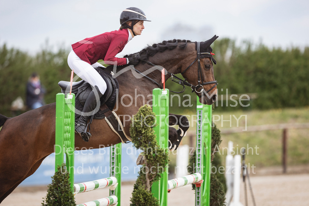 250419_Frühlingsfest_Stil-A2-1-502 | Deine schönsten Turniermomente als professionelle Fotos! Entdecke hochwertige Pferdesport-Fotografie im Online-Shop. Jetzt Fotos finden & bestellen!