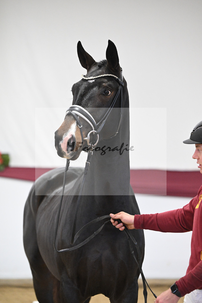 Kat-Nr. 31 In My Mind x Fidertanz_Uwe Kraft_47251041 | hf-fotografie - Realisiert mit Pictrs.com