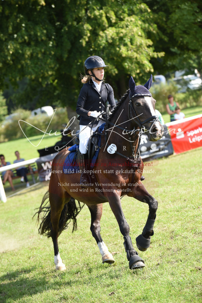 DSC_8936 | Pferde- und Turnierfotografie in Westsachsen. Pferdeportraits, Auftragszeichnungen und intuitive Kunst.